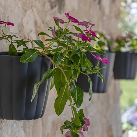 Hébergement de vacances Peacefull Getaway Island Hvar! Selca kod Starog Grada